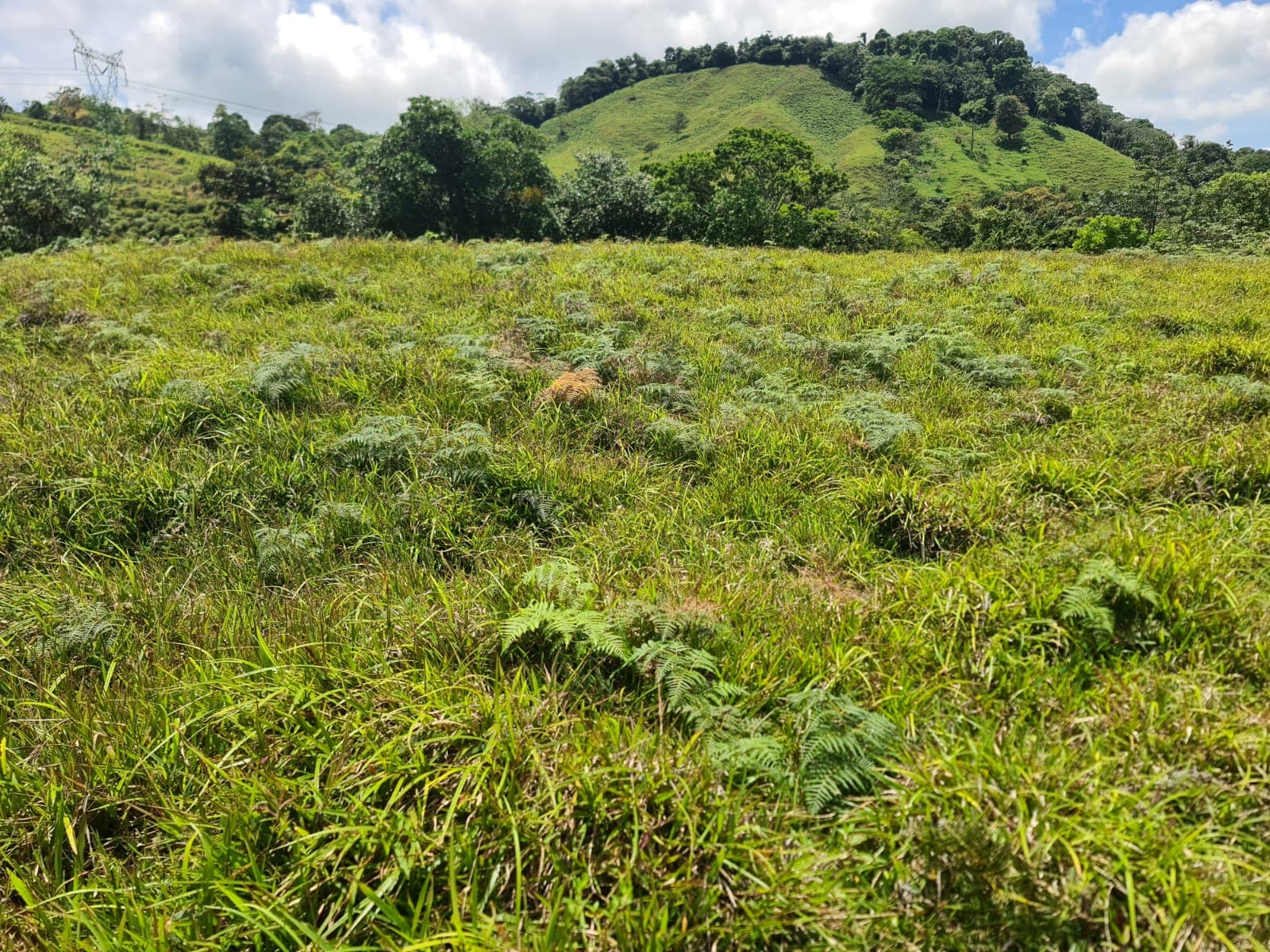 Beautiful 7942 m2 (1,96 acre) Lot Lake View in Nuevo Arenal  - 4