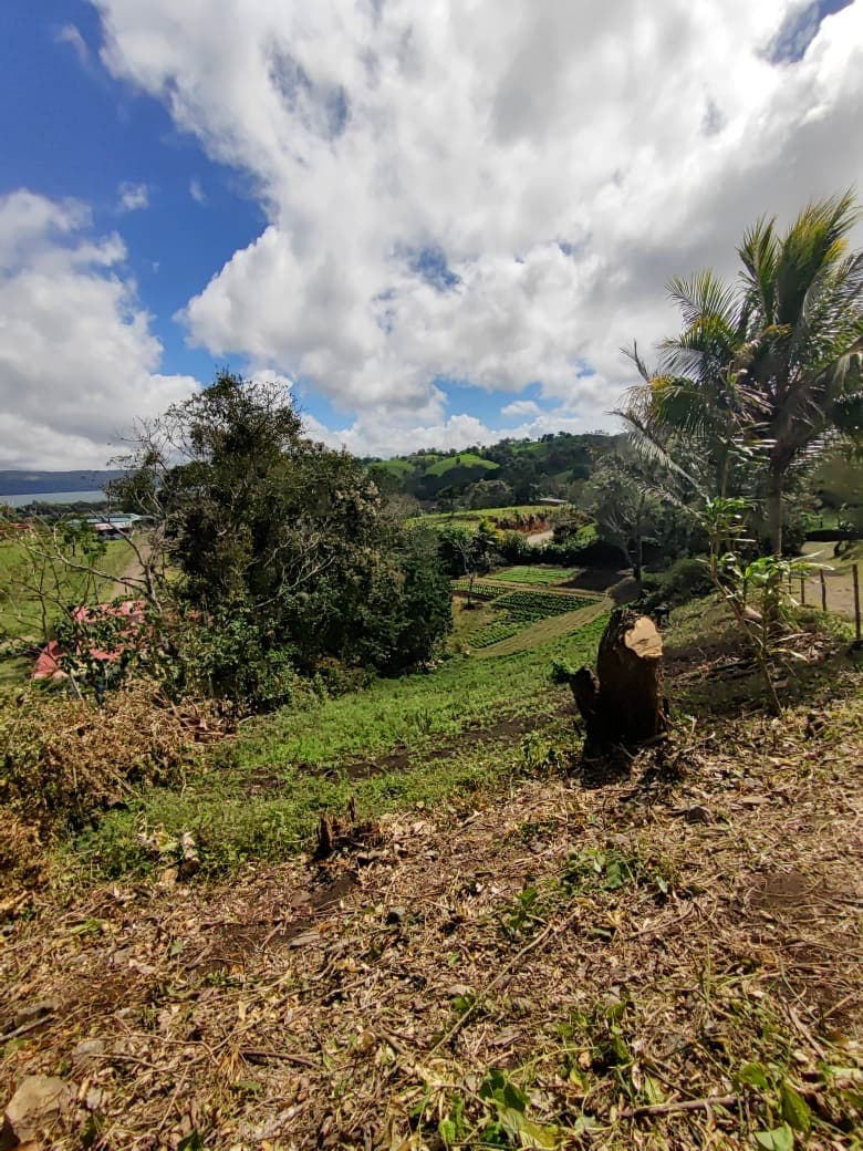 Beautiful 2932 m2 lot with Lake Arenal View in Tronadora  - 5