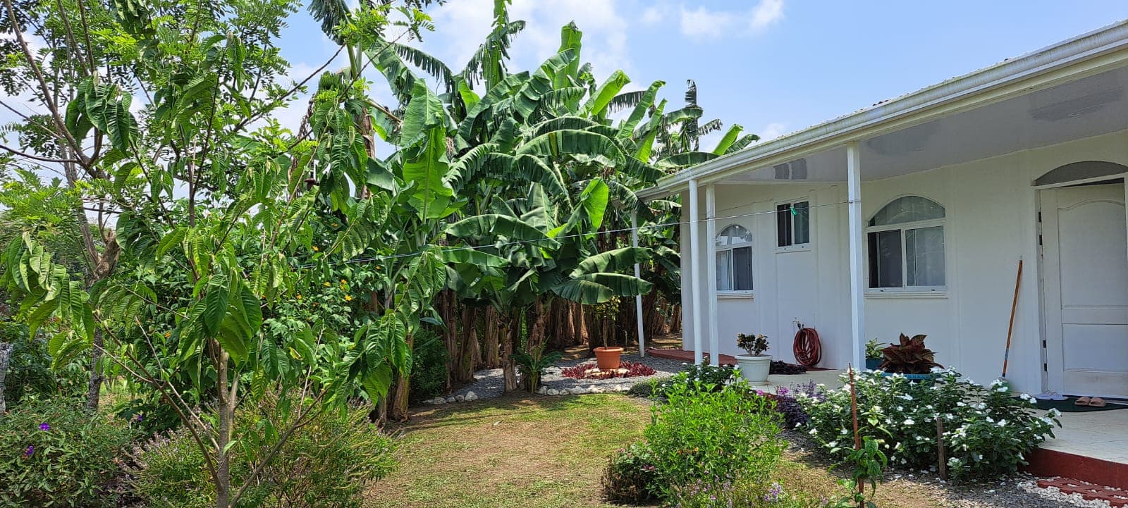 Lovely 3 Bedroom 1 Bathroom Home with Lake Arenal View In Tronadora - 5