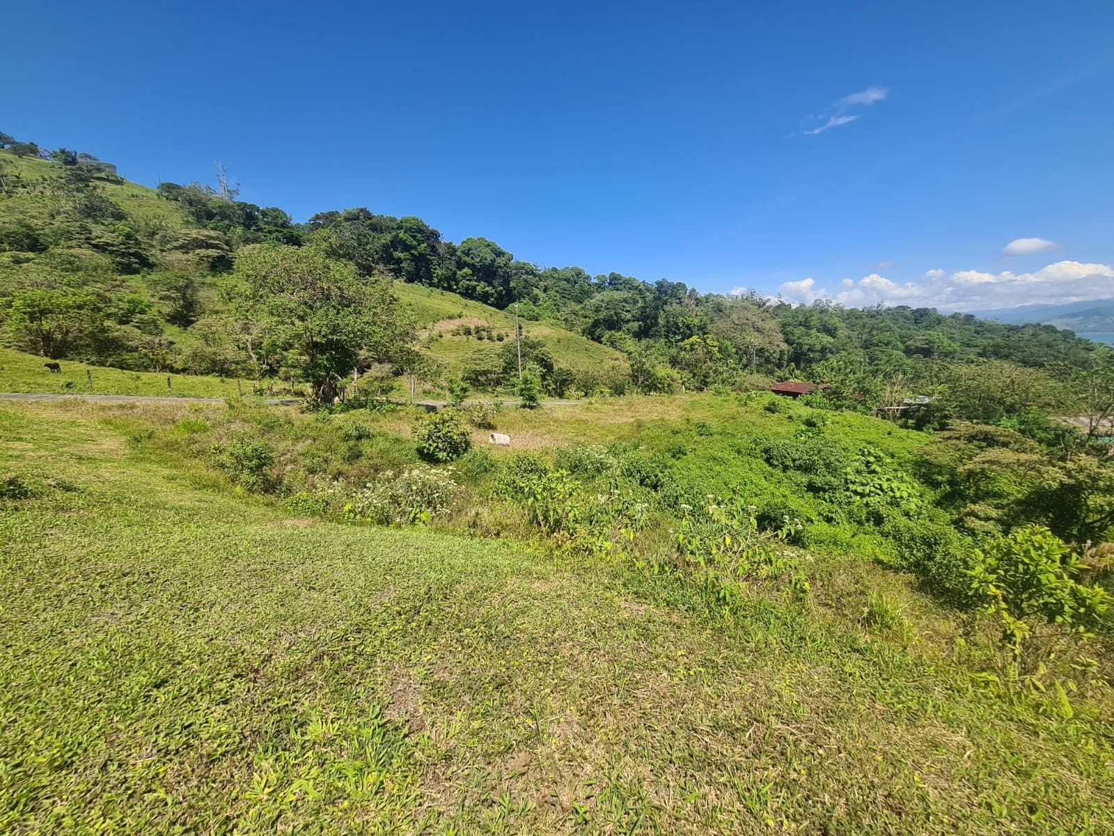 Lot 00 - 6,070 m² - 4