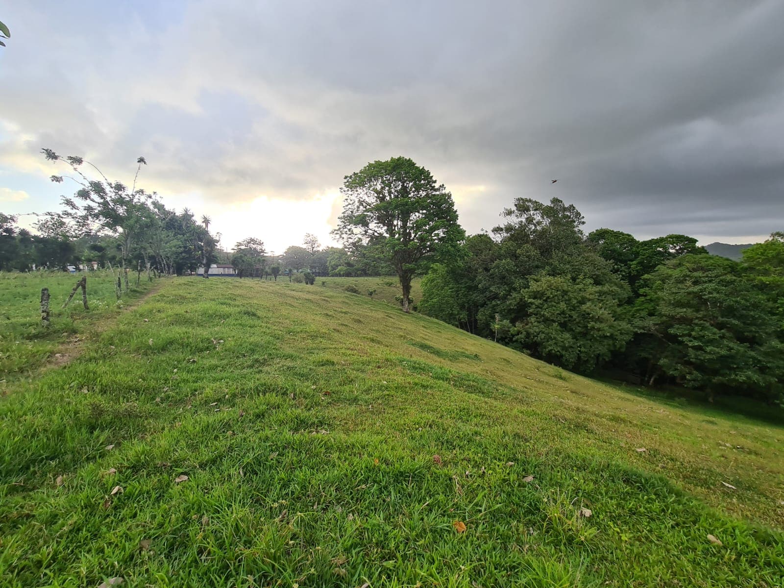 16-Hectare Farm with a Private Well and Views of Lake Arenal in Nuevo Arenal - 4
