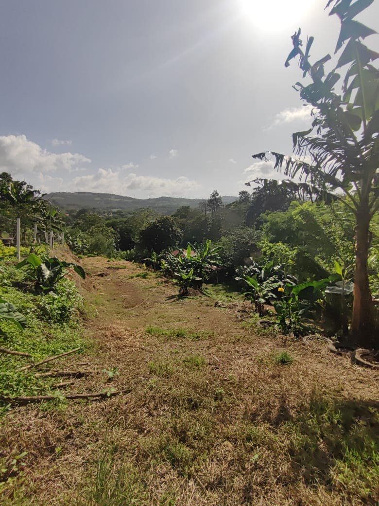 Lovely1,903 m3 (0.47 Acre) Near Lake Arenal in  Tronadora - 5