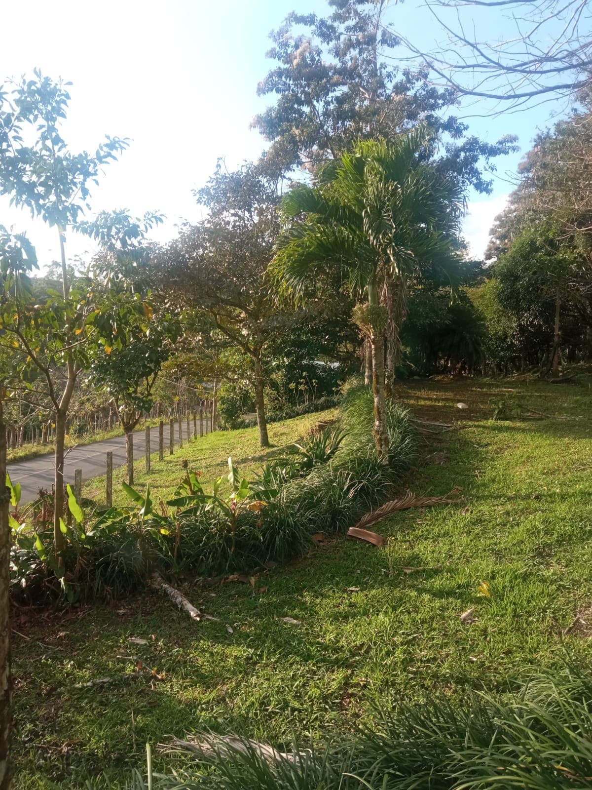 Beautiful, 1407 m2 (0,34 acres) Lot in Parcelas de Quebrada Azul, Tilarán - 3