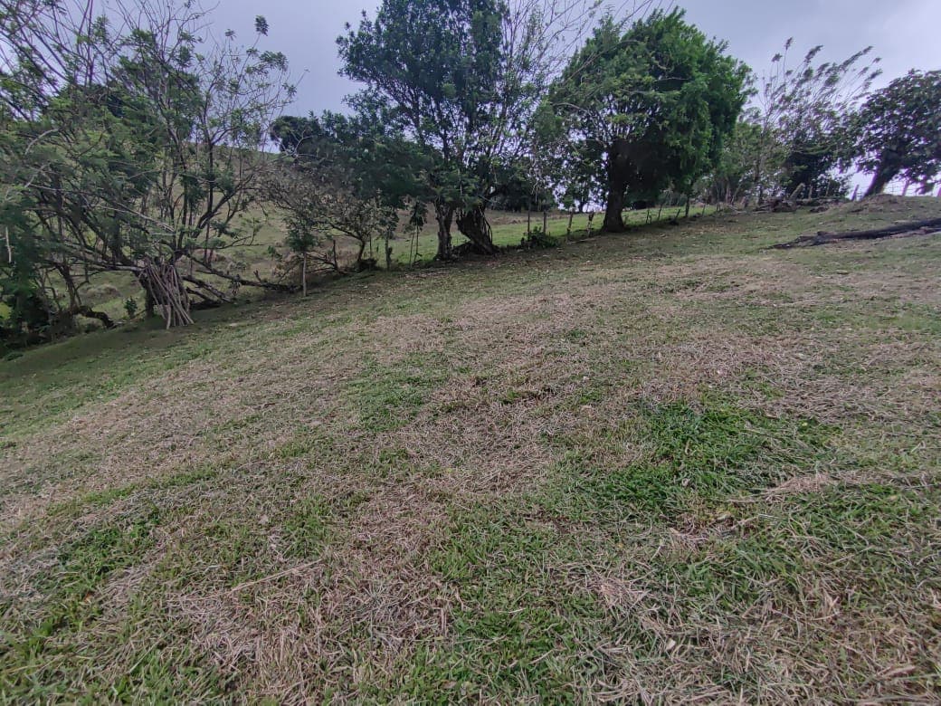 Gorgeous 701 m2 (0.17 Acre) lot with Lake Arenal and Volcano view in Tronadora - 3