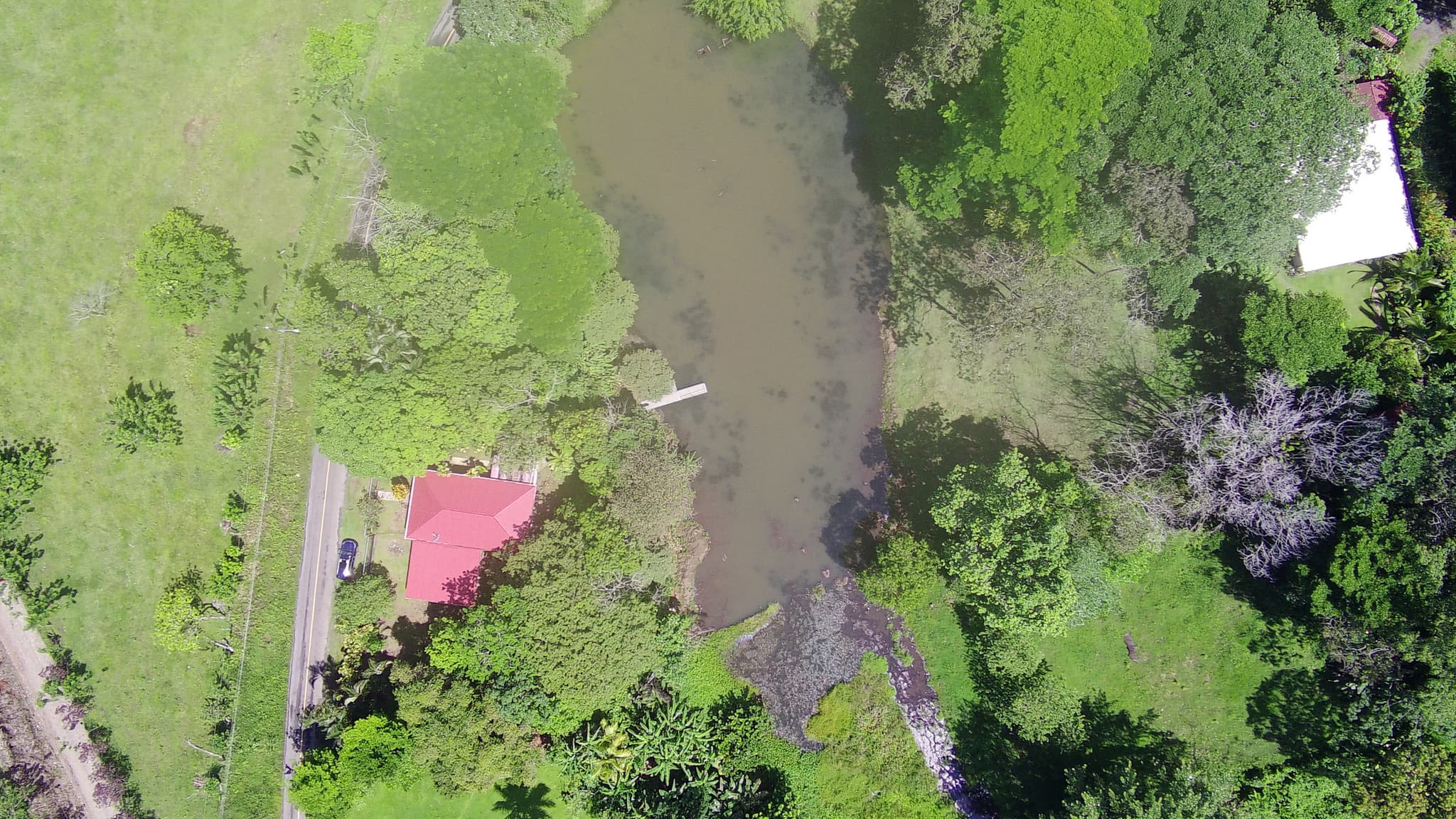 Beautiful Home 2BD 1BA in a 19424.9 m2 (4.8 Acre) Lot w/ Private Spring  - 2