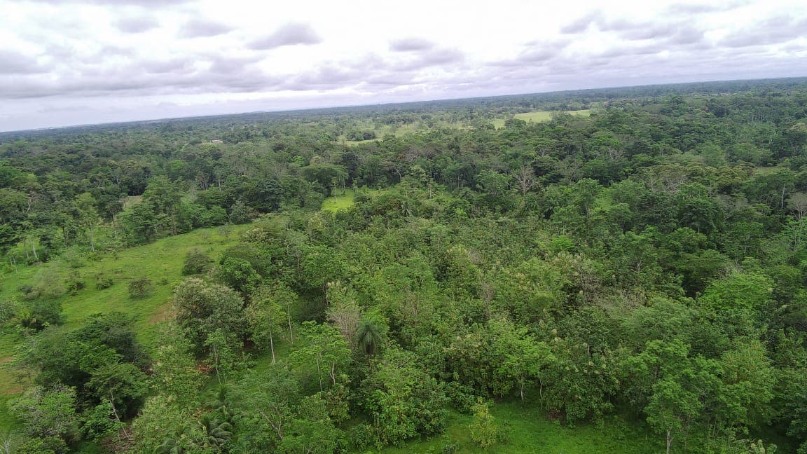 7.1-Hectare Lot w/ Private Well & Development Potential in Upala