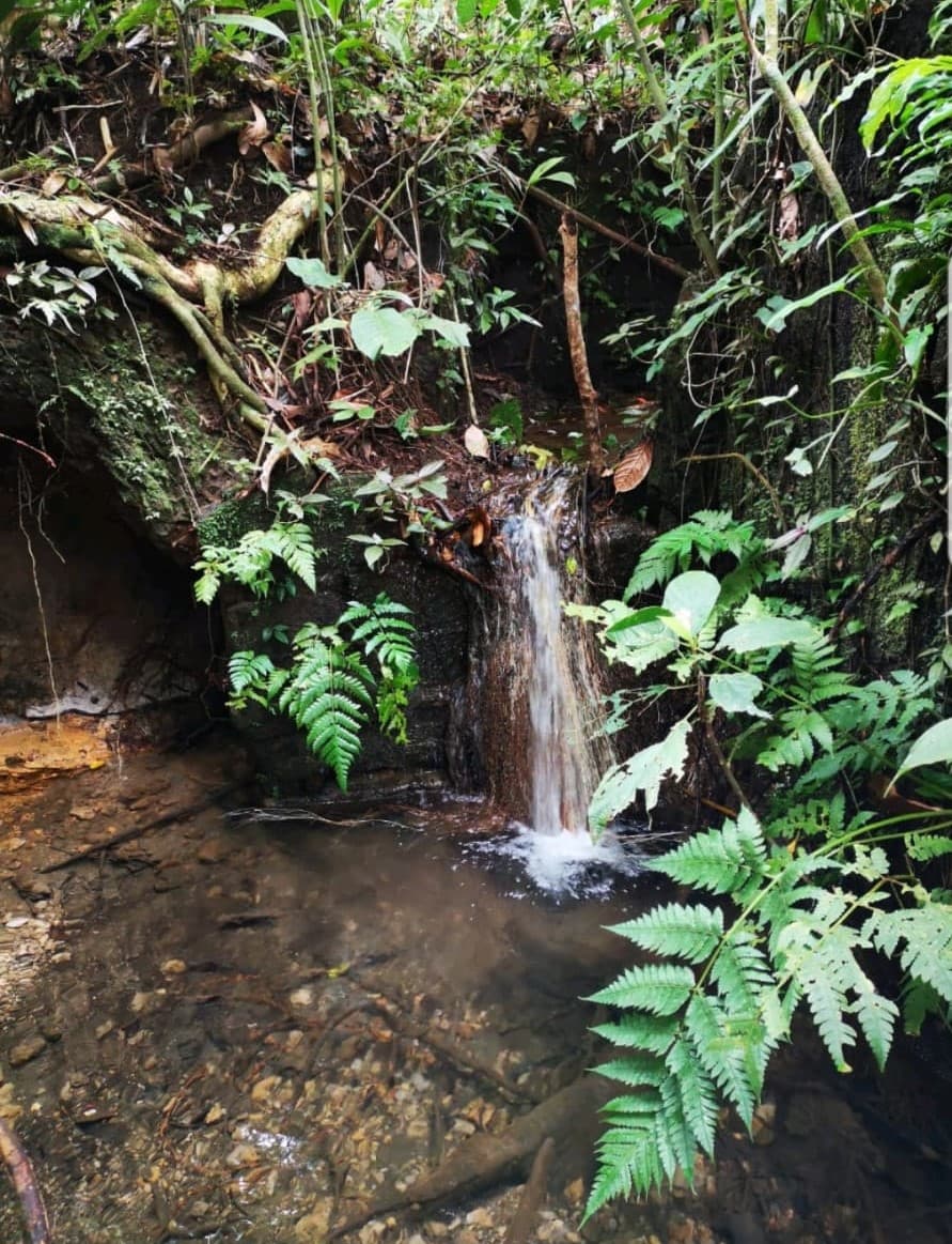 Incredible 9 Hectare Farm w/ Water Galore, Rivers, Springs & Creeks - 5