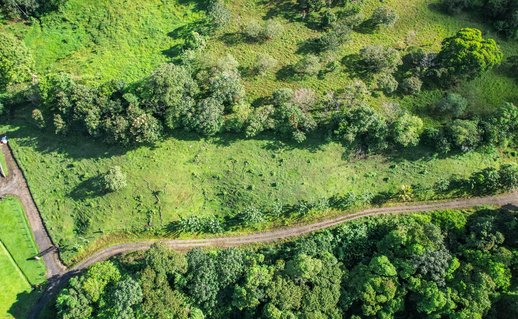 NEW BEAUTIFUL LOT IN PARADISE! In La Unión, Nuevo Arenal - 2