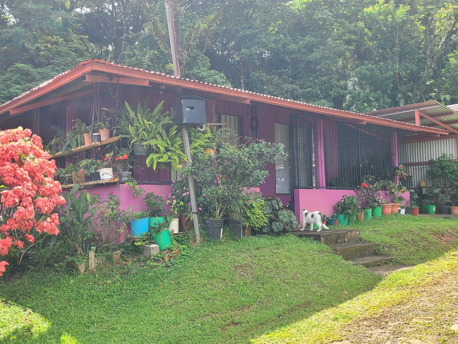 Lovely 2 Bedrooms 1 Bathroom Home In Arenal Downtown