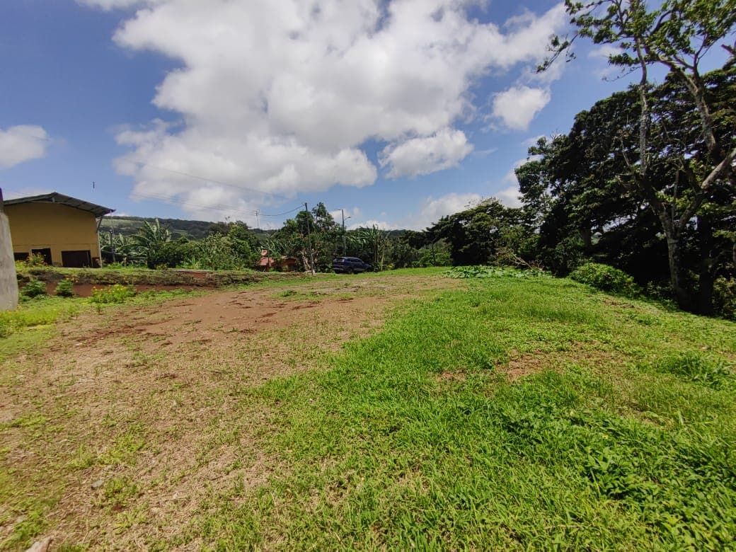 Beautiful, 1359 m2, Lake Arenal View Lot in San Luis, Tilarán - 5