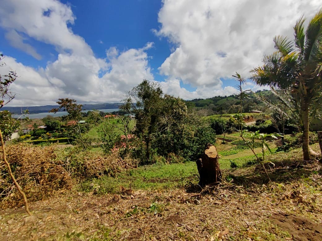 Beautiful 2932 m2 lot with Lake Arenal View in Tronadora  - 4