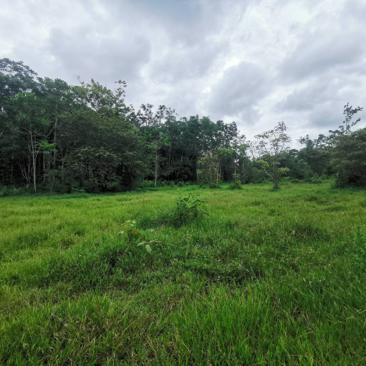 7.1-Hectare Lot w/ Private Well & Development Potential in Upala - 4
