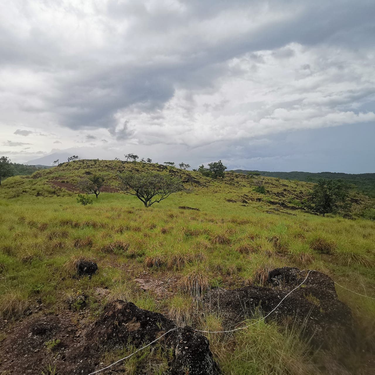 Private 26,000 m² Lot w/ Panoramic Views & Natural Water Source in Bagaces - 5