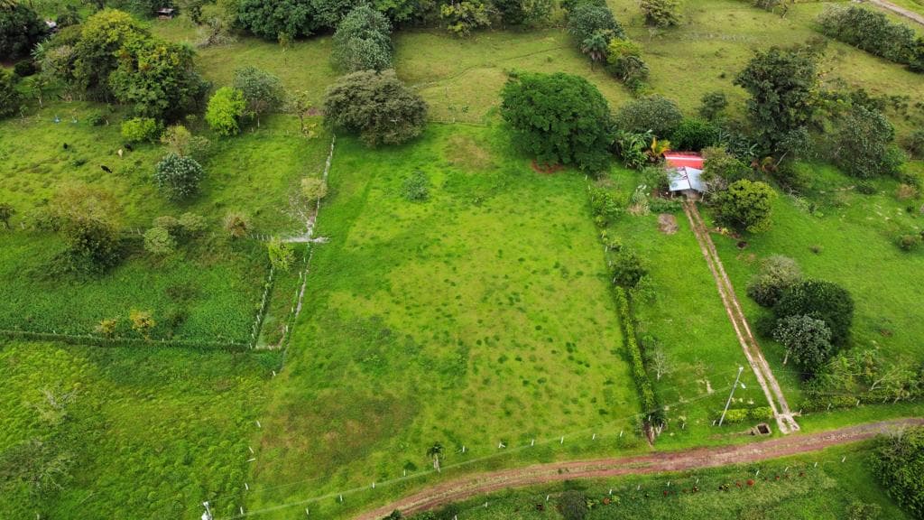 Beautiful Flat 5,624 m2 Lot With Views in Rio Naranjo, Guanacaste  - 2