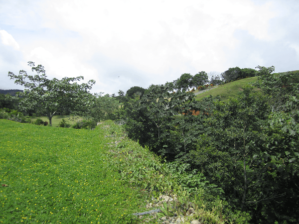 1,30 Acre+ Lake View Lot in Marina Community In Rio Piedras - 4