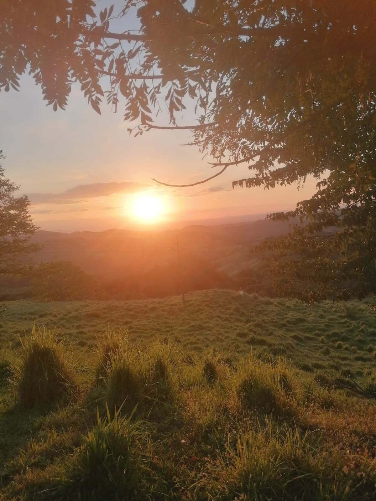 Nature Lover: 5,121 m2 Lot with Mountain Views and Lush Fruit Orchard