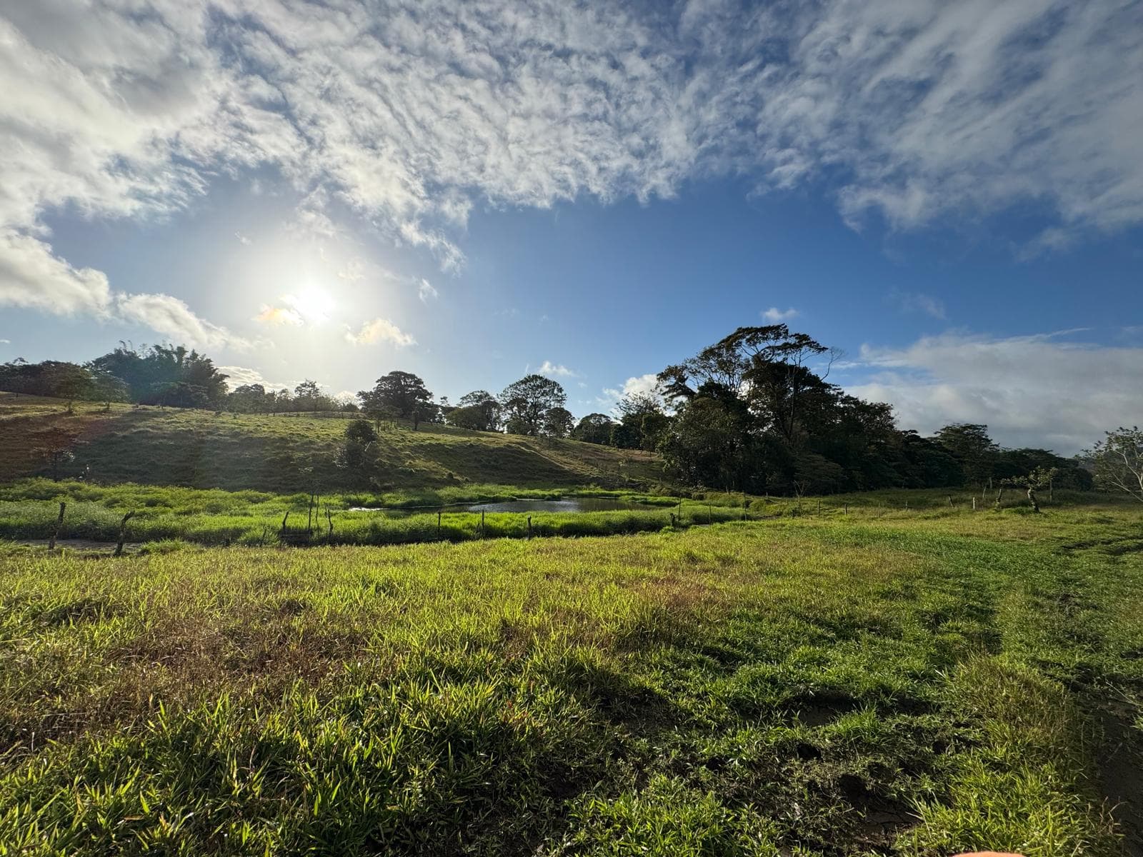 Expansive Self-Sufficient Farm Overlooking Lake Arenal in Nuevo Arenal