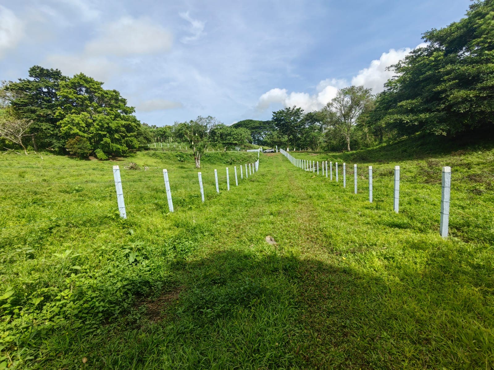 La Jolla Tronadora Prestige Homesites - 3