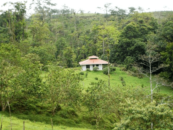 168 acres (68 hectares) of natural peace and tranquility with four cabins - 4
