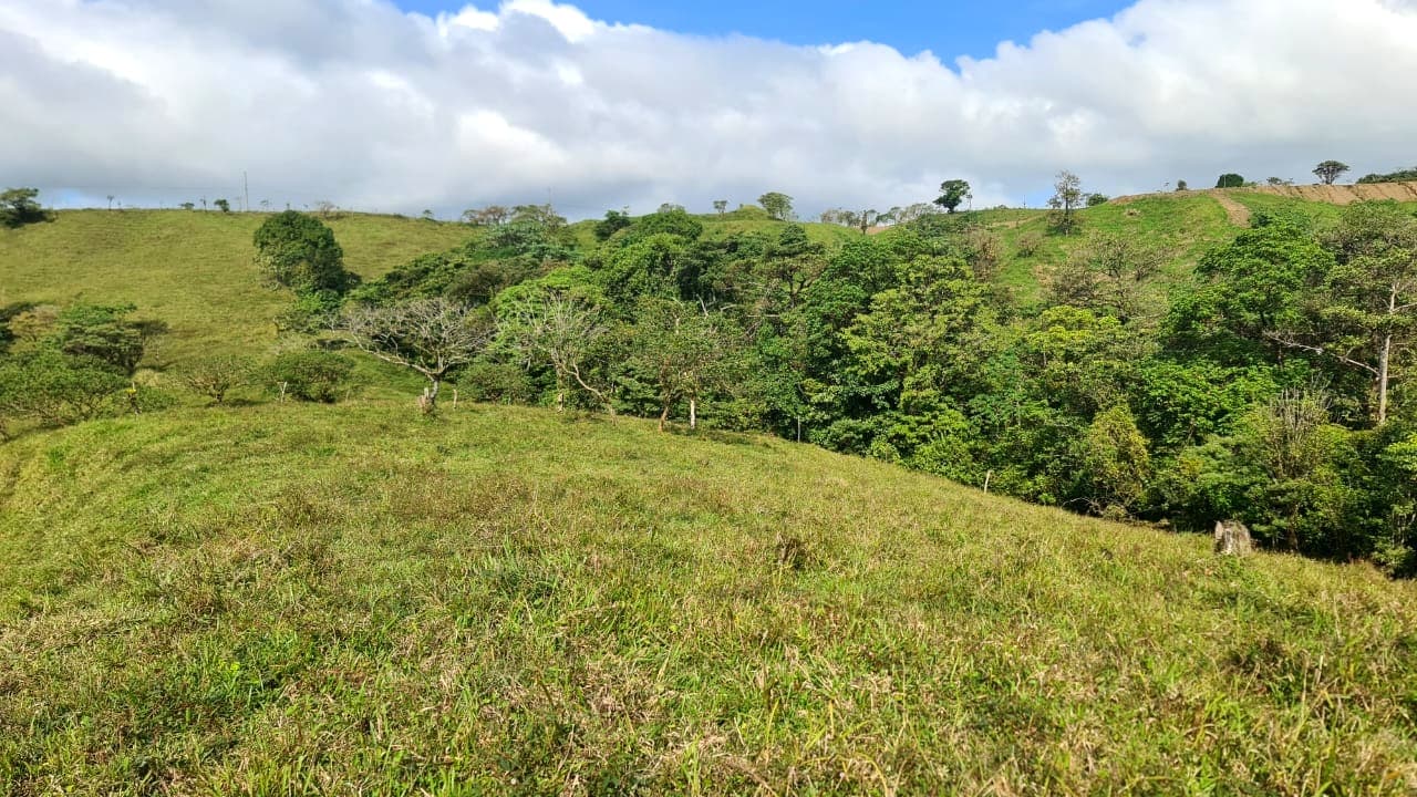 Amazing Opportunity, 2 Hectare, Lake View Parcel in Nuevo Arenal - 5