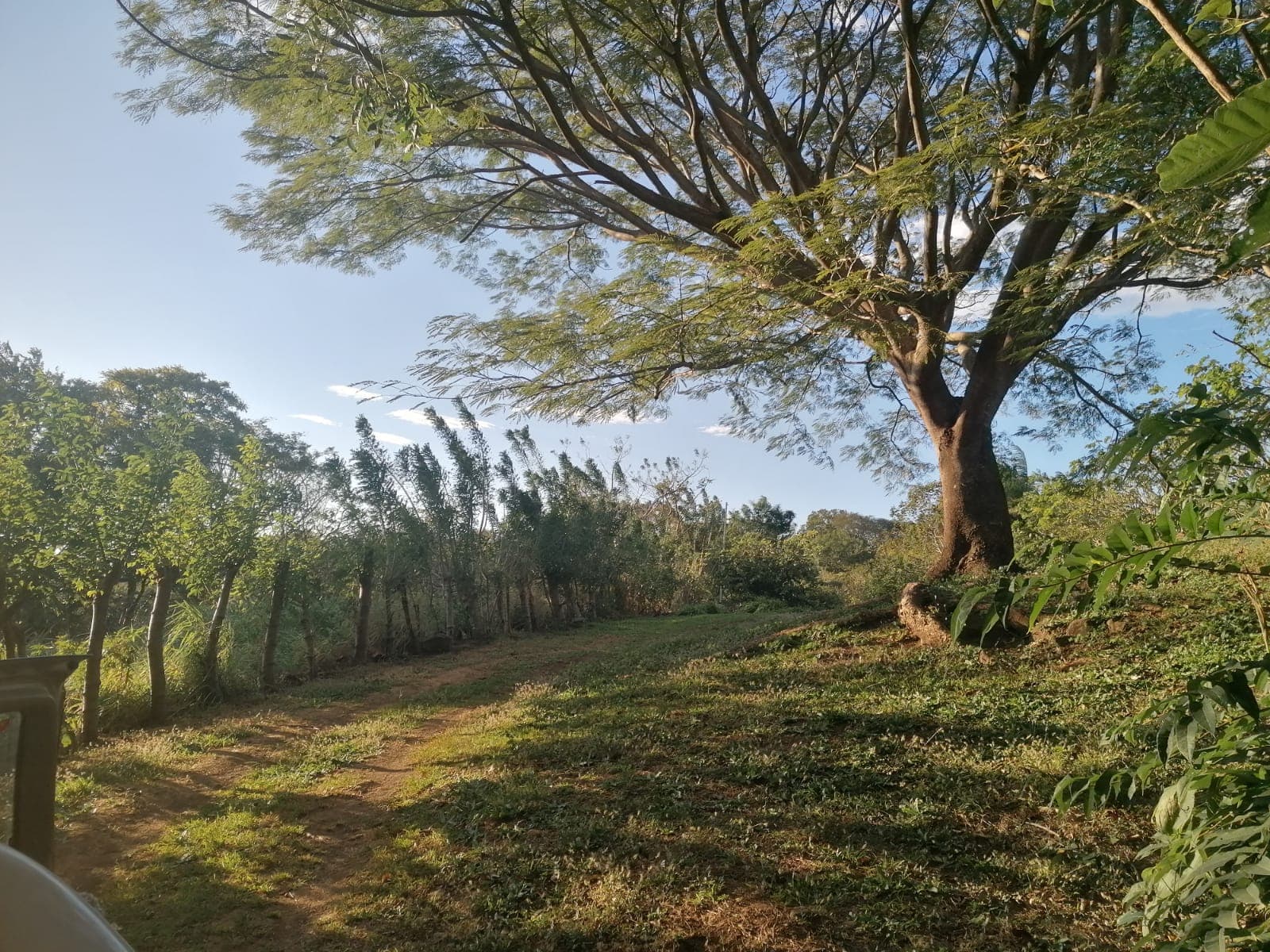 Nature Lover: 5,121 m2 Lot with Mountain Views and Lush Fruit Orchard - 5