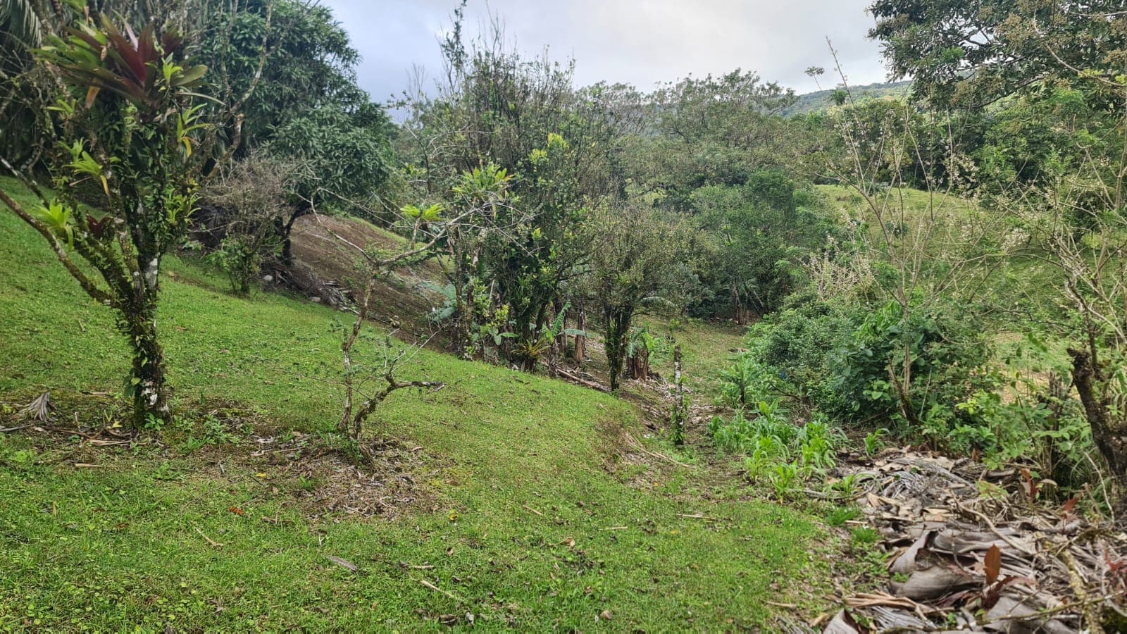 Lovely, 2625 M2 (0.64 acres) Lot in Mata de Caña, Nuevo Arenal - 2