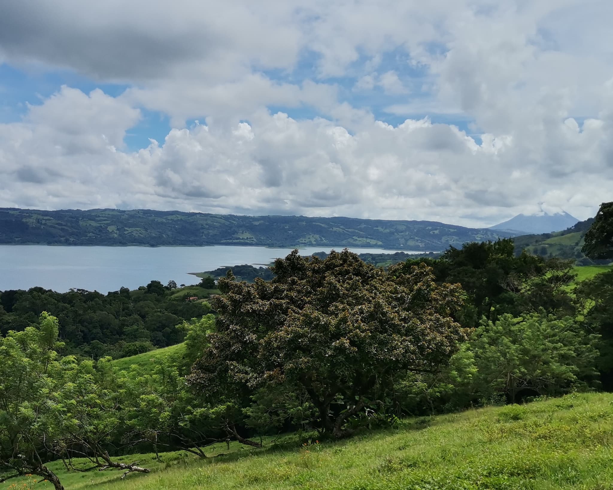 Magnificent 24,811m2 Lake and Volcano View Parcel with Huge Views in Tronadora - 2