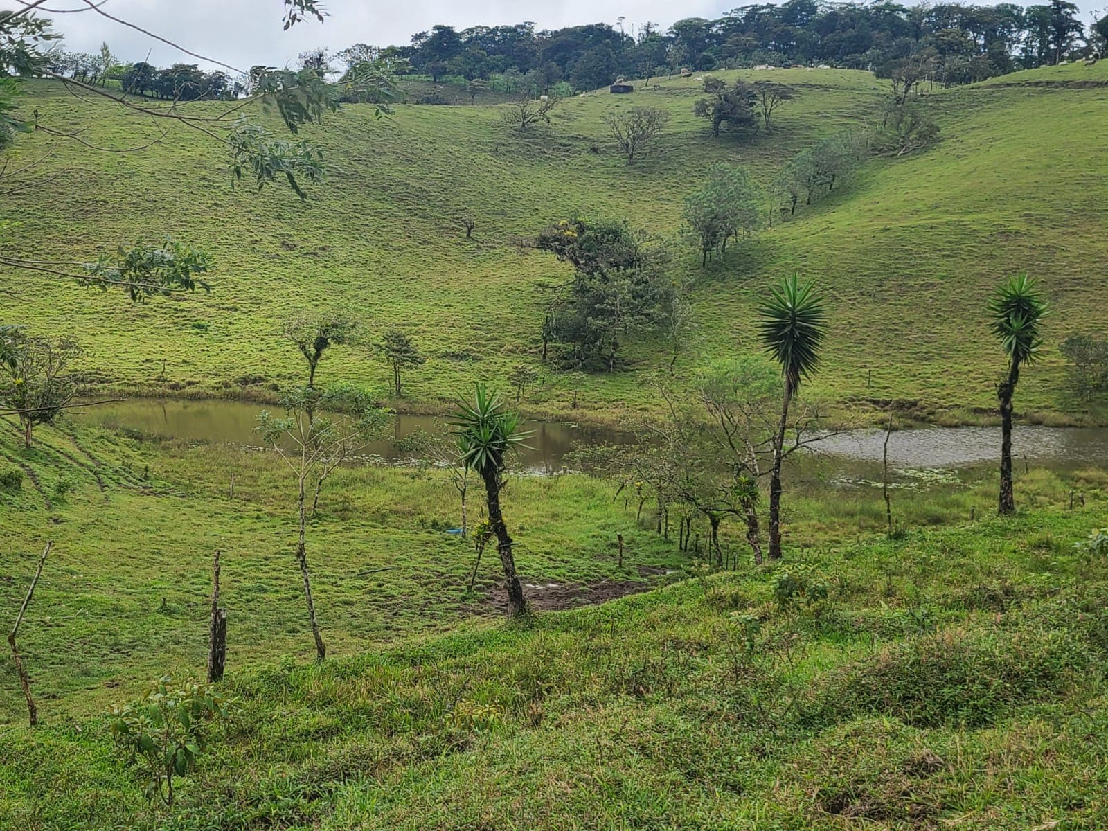 Spectacular 105-Hectare Lot with Lakes, Mountain Views, & Natural Resources  - 5