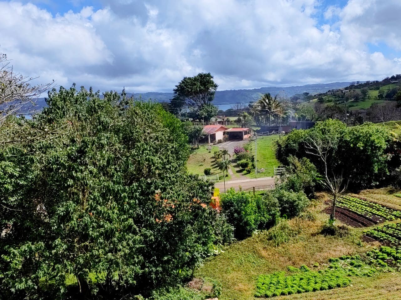 Beautiful 2932 m2 lot with Lake Arenal View in Tronadora  - 2