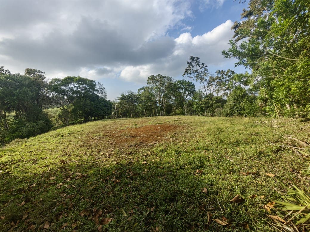 Beautiful Lot of 5461 m2 (1,34 Acre) in downtown Tronadora