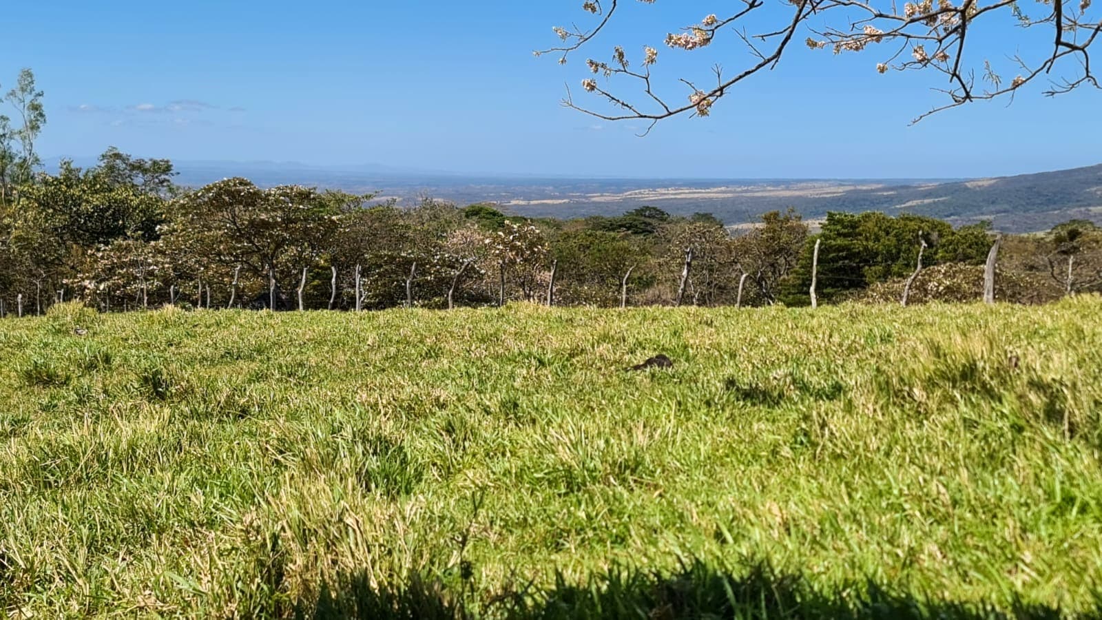 10,000 M2 (2.47 Acre) Lot with Volcano View in Nueva Guatemala - 3