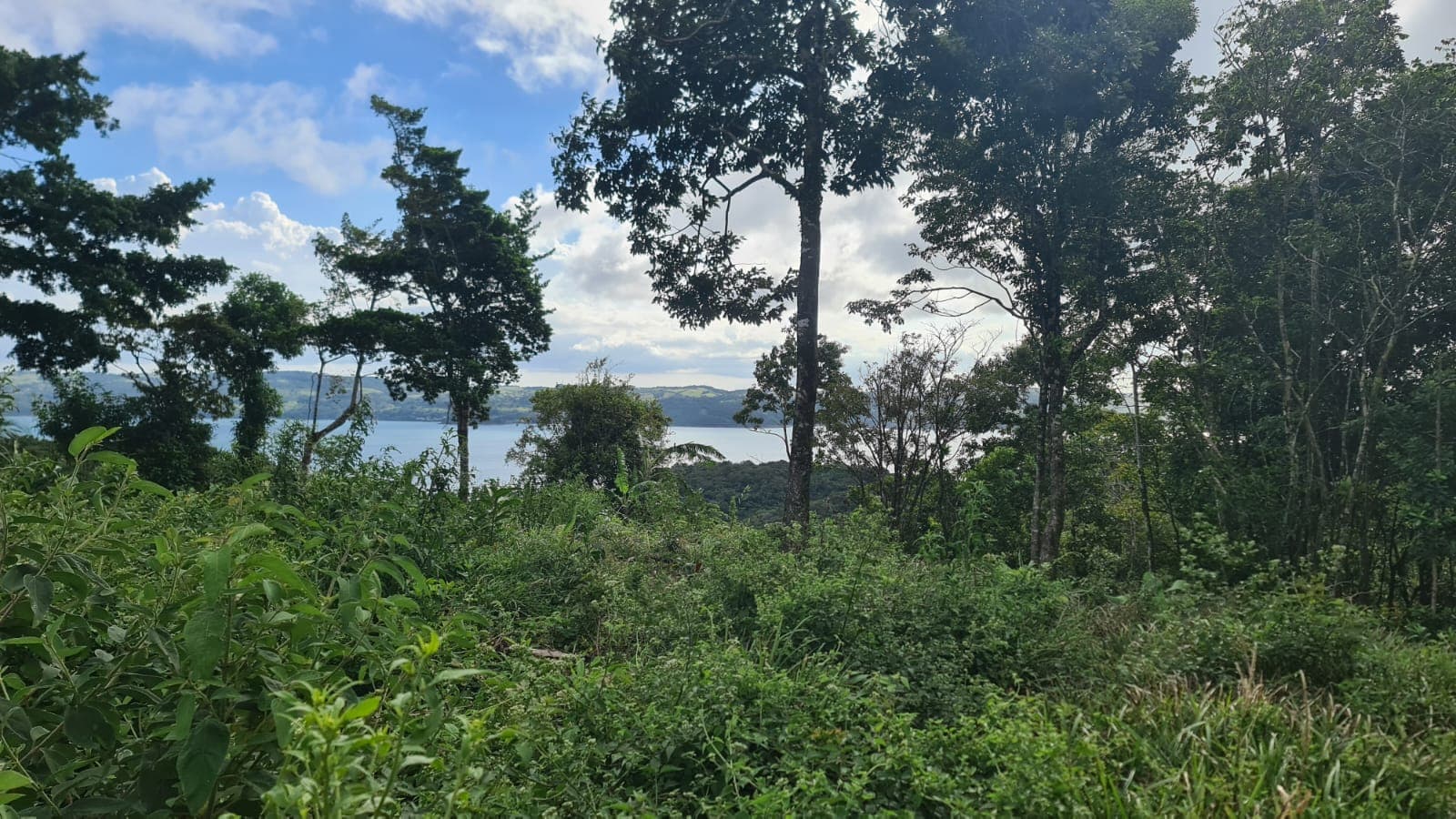 Gorgeous, 14053.22 M2, Lake View Property in El Aguacate, Tilarán - 4