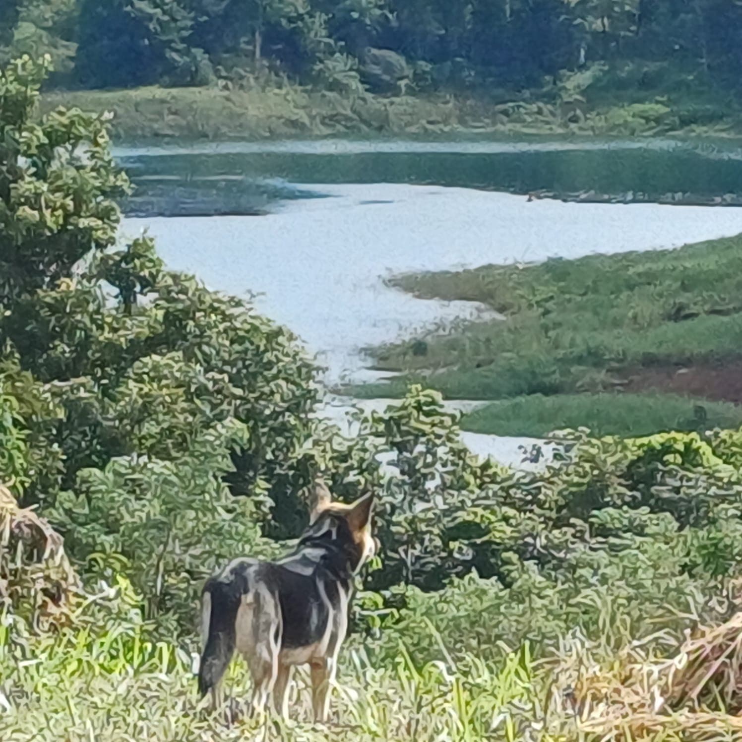 Expansive 7,663 m² Lot with Lake and Mountain Views in San Luis, Tilaran  - 5