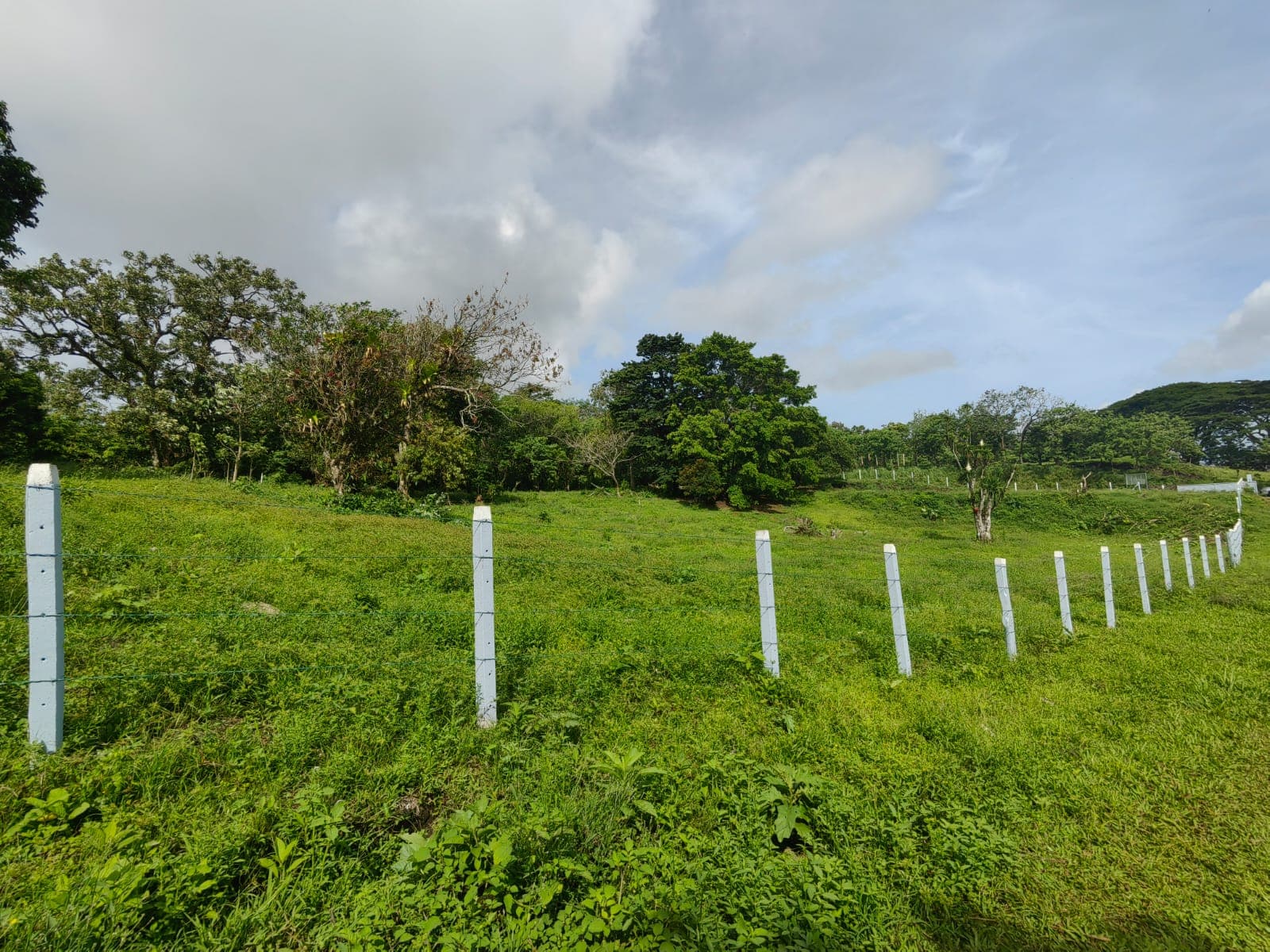 La Jolla Tronadora Prestige Homesites - 4