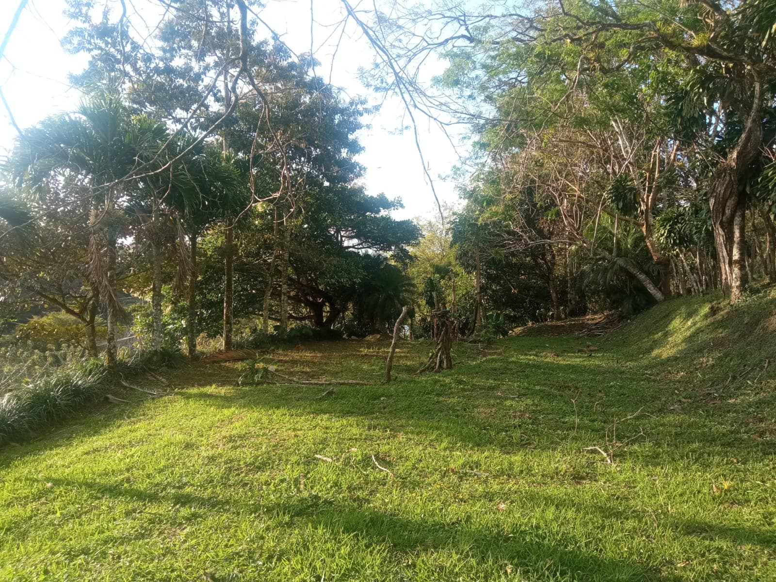 Beautiful, 1407 m2 (0,34 acres) Lot in Parcelas de Quebrada Azul, Tilarán