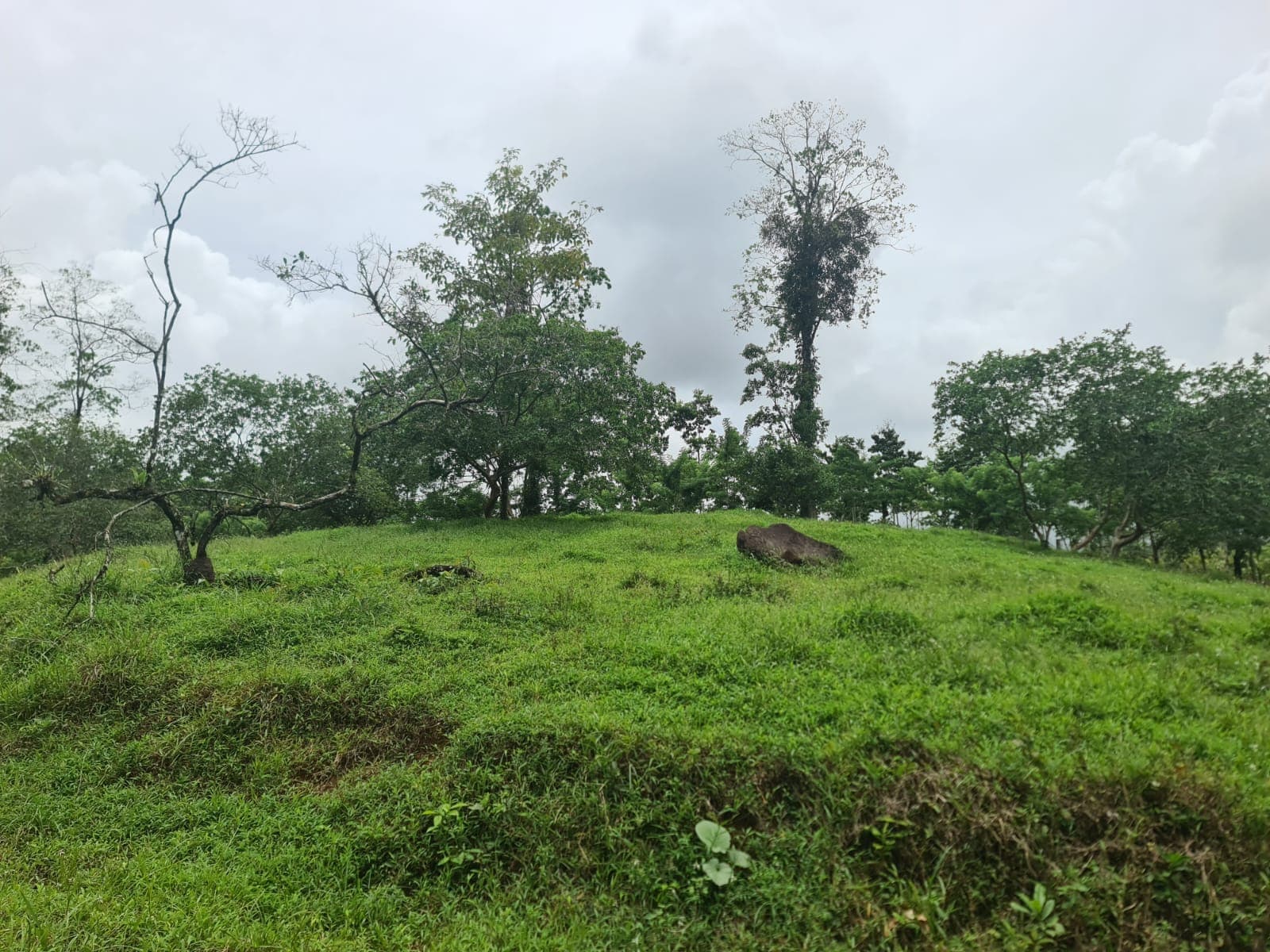 10,500 M2 (2.59 Acres) Lot with a Creek in Río Celeste - 5