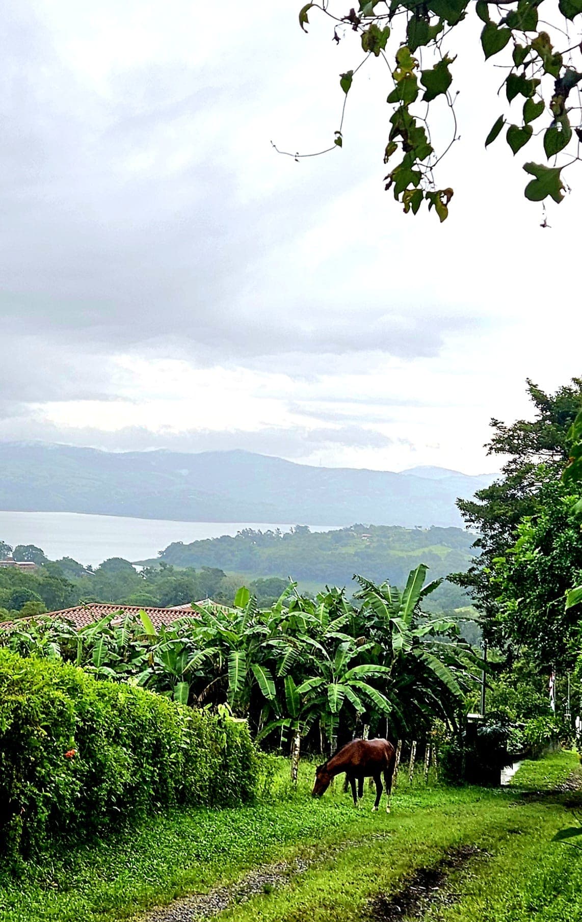 8,737 M2 (2.15 Acre) Lot with View  of Lake Arenal in Tronadora - 2
