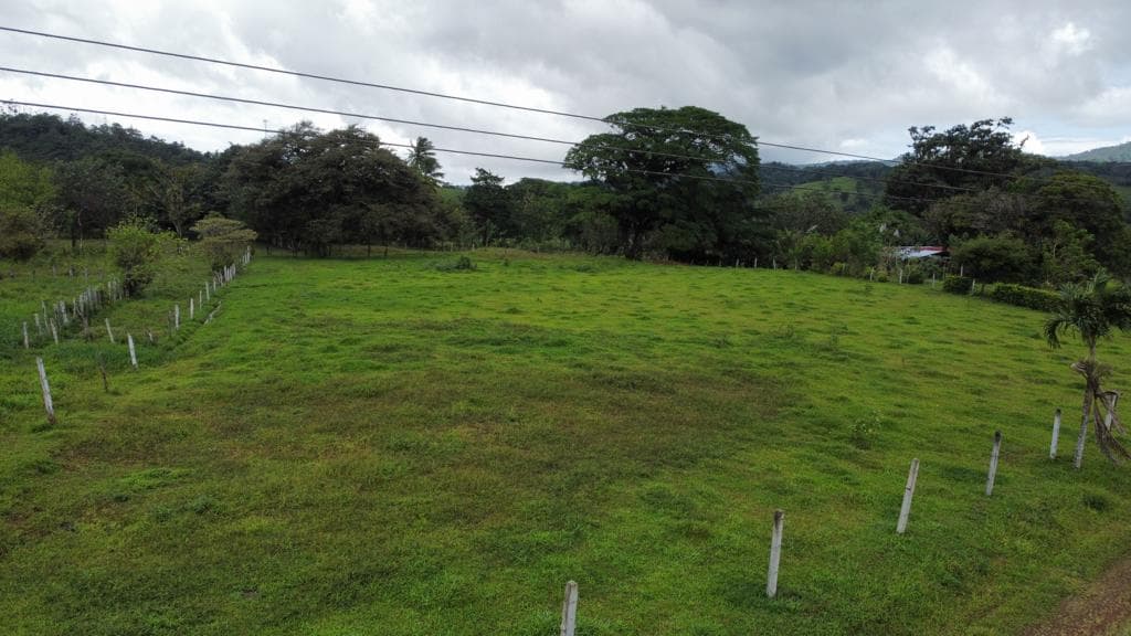 Beautiful Flat 5,624 m2 Lot With Views in Rio Naranjo, Guanacaste  - 3