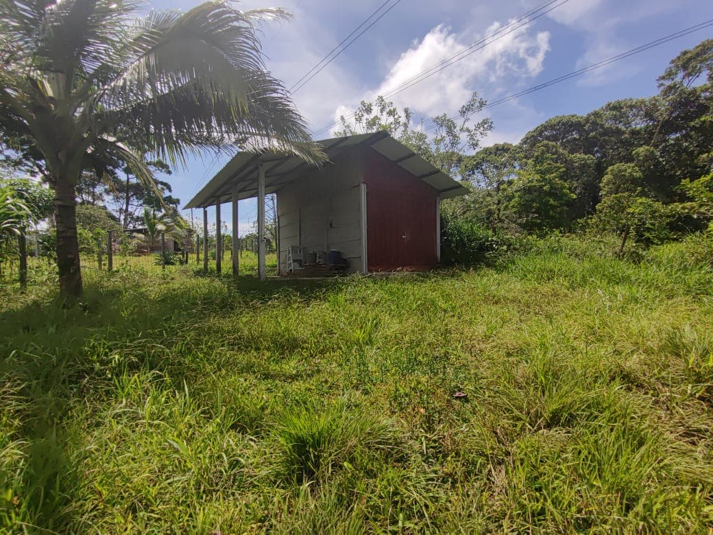 Lovely, 1322 m2 Lot (0,32 acre) in Cuidad Quesada, Alajuela - 4