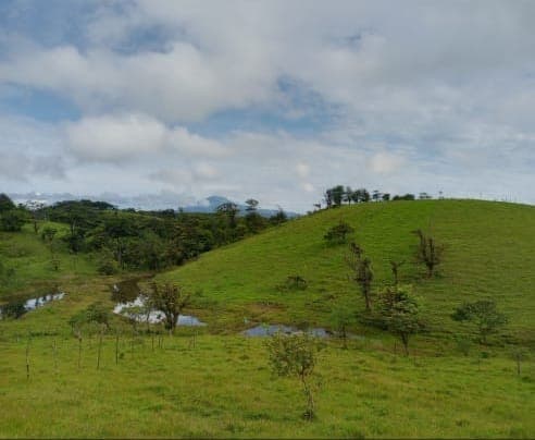 Beautiful 7-hectare lot with breathtaking views in Arenal - 5