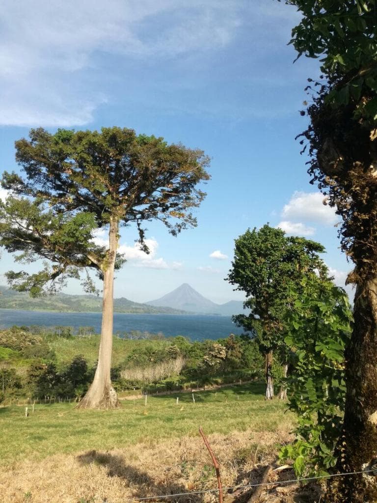 87.731 m2 Farm with Spectacular Lake and Volcano Views in Viejo Arenal - 3