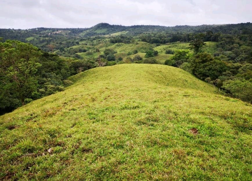 Incredible 9 Hectare Farm w/ Water Galore, Rivers, Springs & Creeks