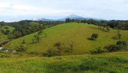 Beautiful 7-hectare lot with breathtaking views in Arenal - 3