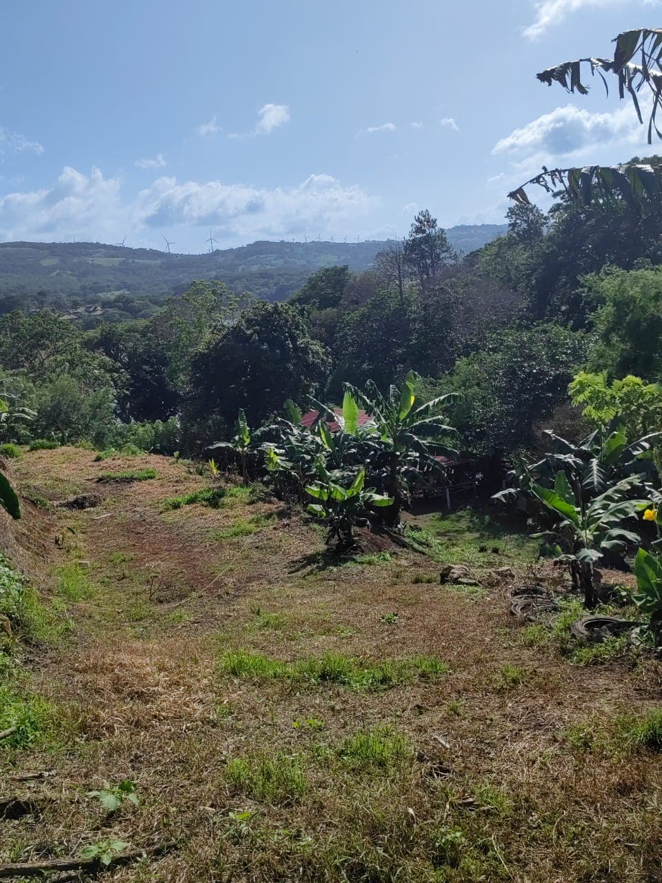 Lovely1,903 m3 (0.47 Acre) Near Lake Arenal in  Tronadora - 4