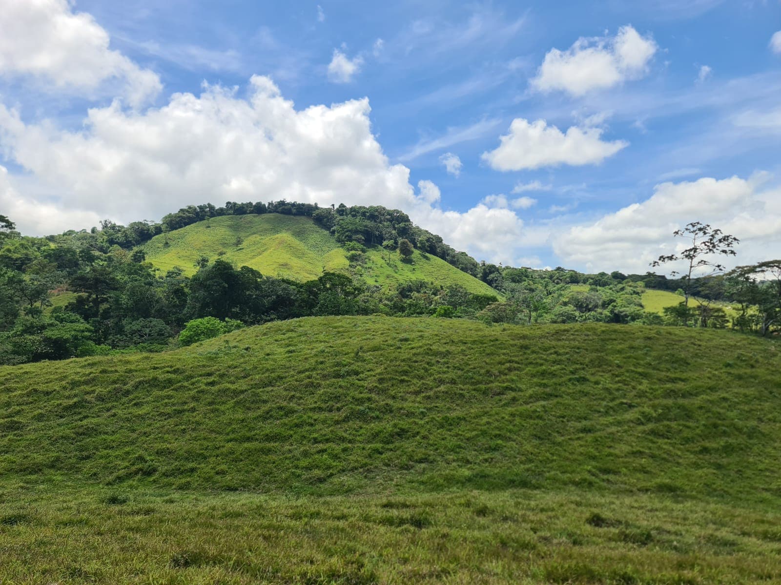 Beautiful 7942 m2 (1,96 acre) Lot Lake View in Nuevo Arenal  - 3