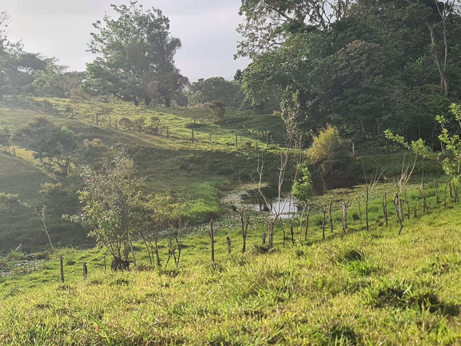 16-Hectare Farm with a Private Well and Views of Lake Arenal in Nuevo Arenal - 5