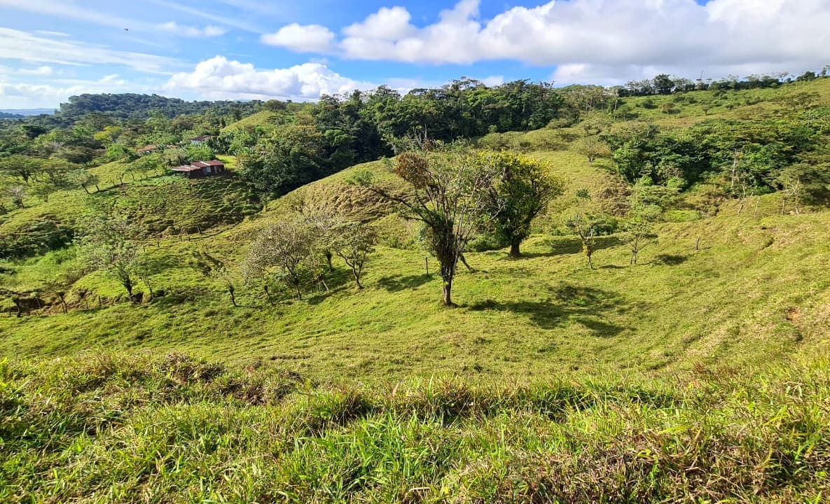 Amazing Opportunity, 2 Hectare, Lake View Parcel in Nuevo Arenal - 4