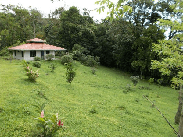 168 acres (68 hectares) of natural peace and tranquility with four cabins - 3
