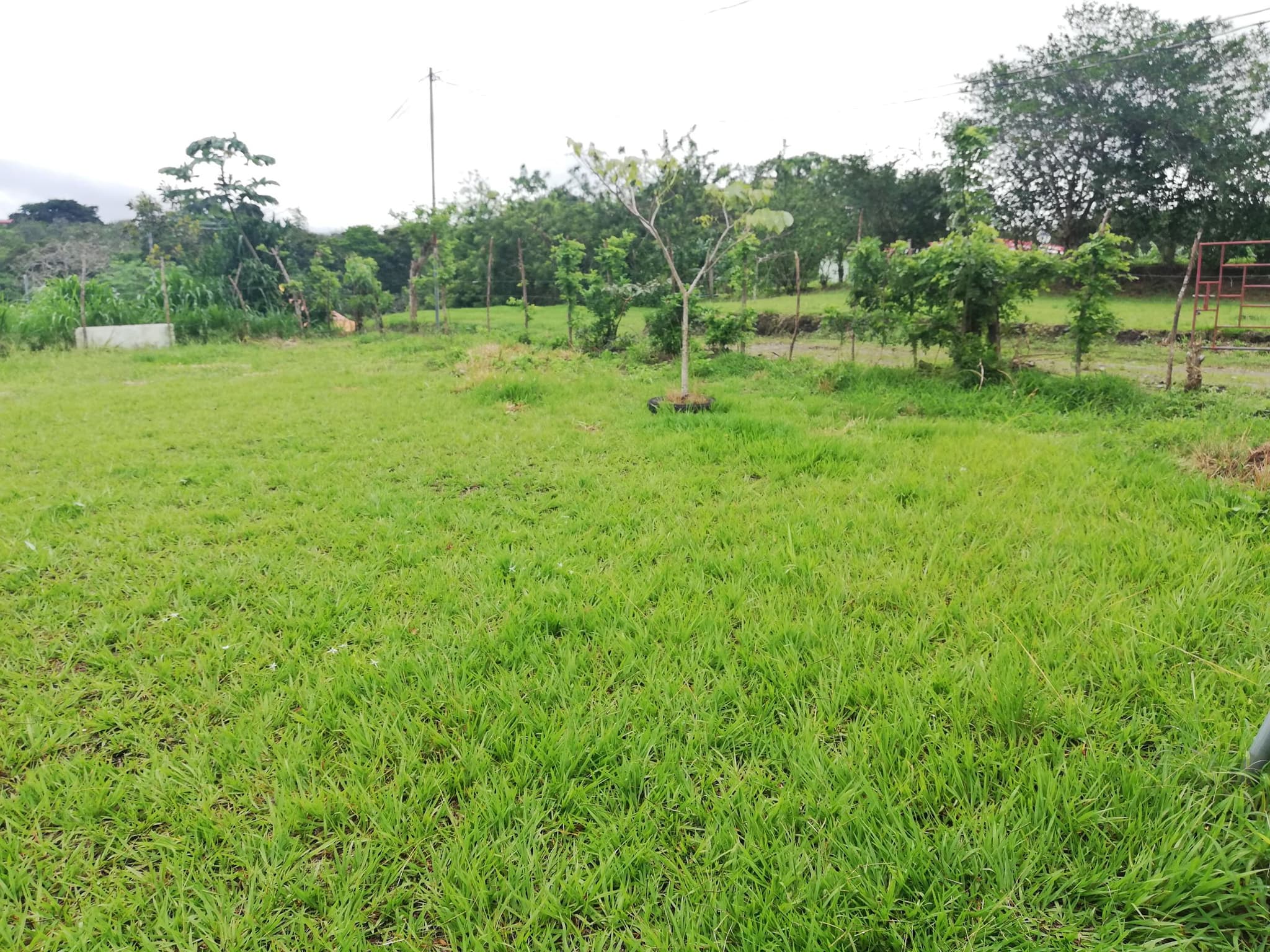 READY TO BUILD! 2,670m2 Parcel near Downtown Tronadora  - 3