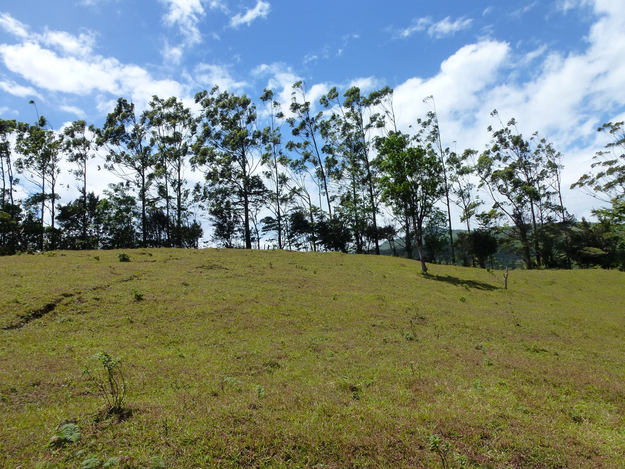 2.26 Acre Lot with Stunning Views Of Lake Arenal and Volcano in Nuevo Arenal  - 5